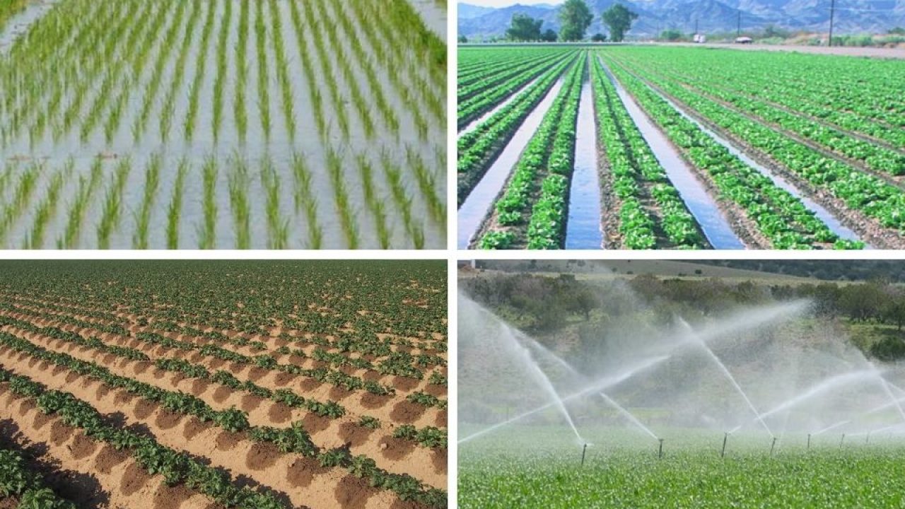 land plan Irrigation images by Fru Nsutebu