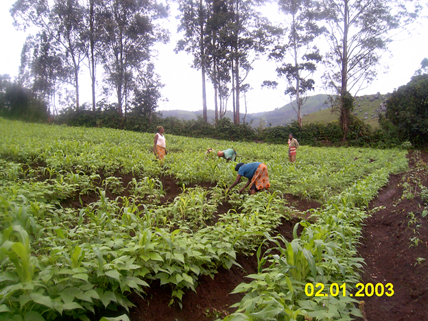 Family-land-pulling